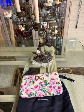 Dolce & Gabbana Pink & Green Rose-Print DG Chain Pouch